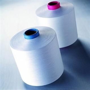 Greige, For zipper tape, 100% Polyester