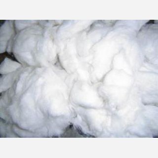 Greige, For Weaving, Cotton