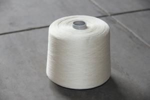 High Tenacity Hemp Yarn