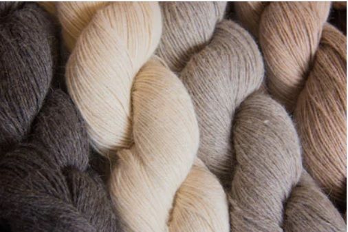 New Zealand Wool Yarn