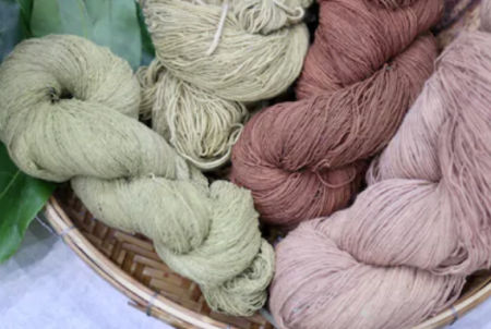 Pre Dyed Cotton Yarn