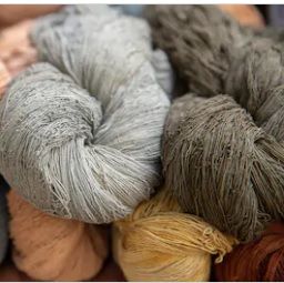 Cotton Yarn