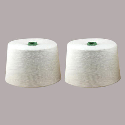 Polyester Raw White Yarn