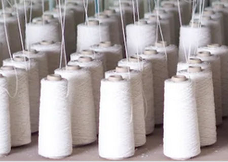 Cotton Raw White Yarn