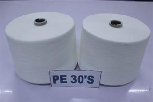 Polyester Yarn