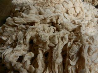 Cotton Yarn-Natural yarn