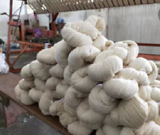 Cotton Compact Yarn