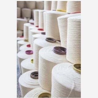 Ring Spun Carded Cotton Yarn