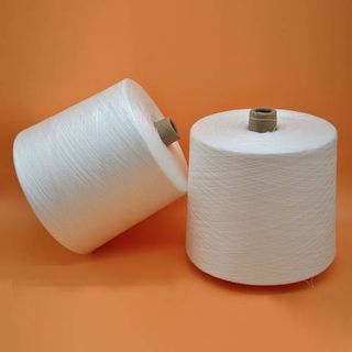 Polyester Zero Twist Yarn