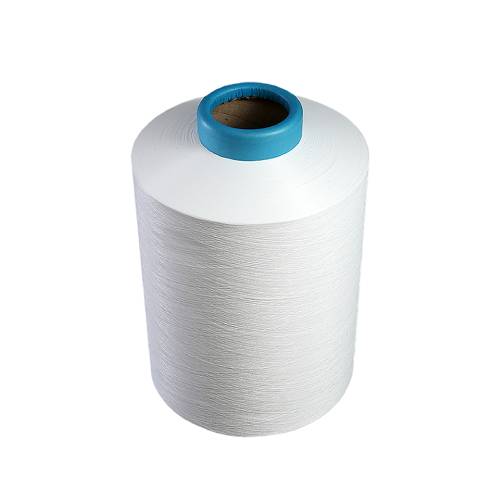 Nylon Yarn