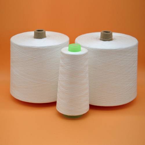 Polyester Yarn