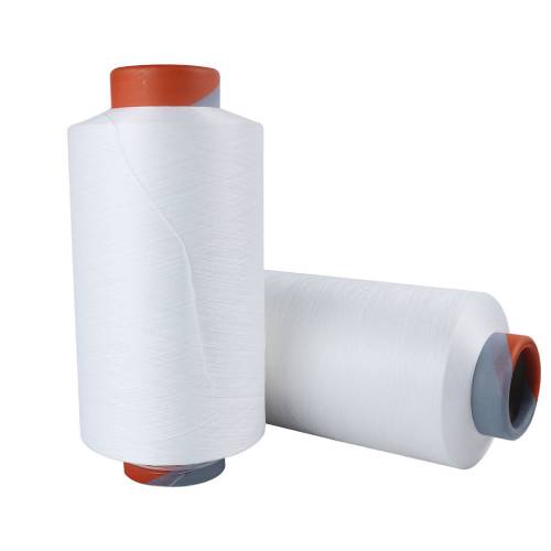 Nylon 6 Yarn