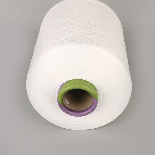 Polyester Yarn