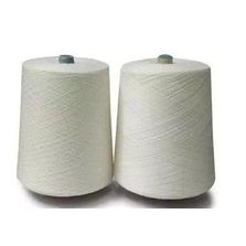 Regenerated Tencel Yarn