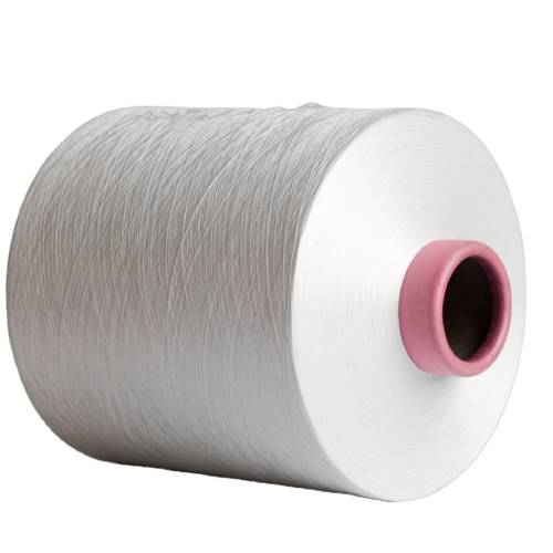 Polyester Yarn