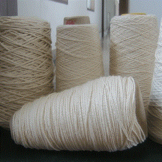 Natural Cotton Yarn