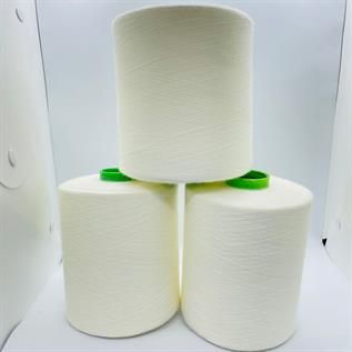 Raw White Polyester Yarn