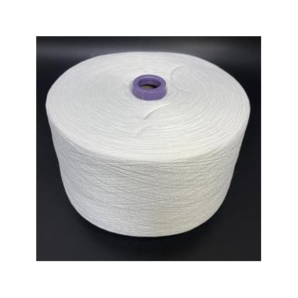 Raw White Polyester Yarn