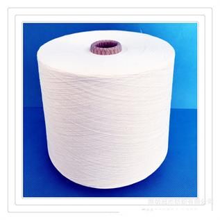 Raw White Polyester Yarn