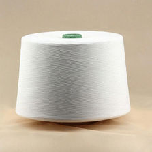 Raw White Ring Spun Viscose Yarn