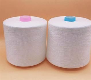 Raw White Polyester Yarn