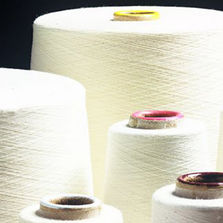 Carded BCI Cotton Yarn