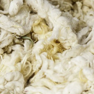 White Linen Yarn Waste