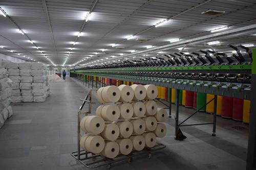 Cotton Open End Yarn