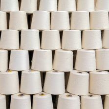 CCH Greige Organic Cotton Yarn