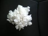 Hollow Conjugated Polyester Staple Fiber Hollow Conjugated Polyester Staple Fiber