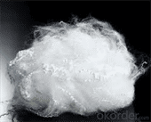 Manmade Polyester Fibre