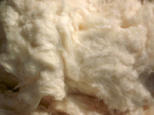 Greige, 20-21 mm, 3.4 Micron, For Yarn Making