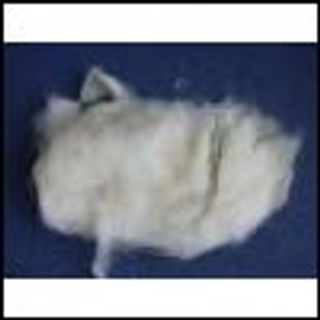 Greige, 65mm or more, 21.5-23.0 more or less, for making wool products