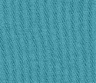 Interlock Fabric-21473