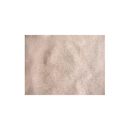 greige pure cotton fabric