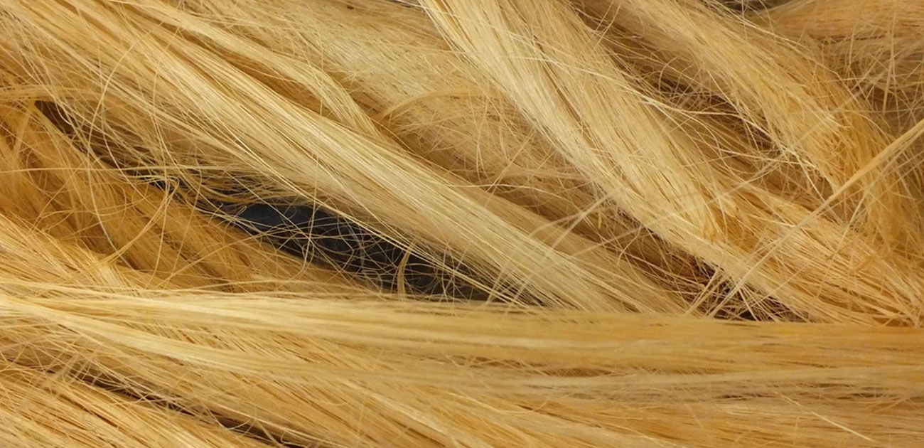https://static.fibre2fashion.com/MemberResources/customwebsiteimages/imagerepo/fibre/fibre18.jpg