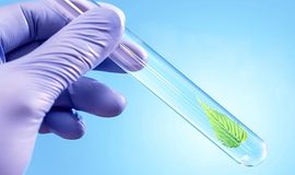 Pic: N9 World Technologies