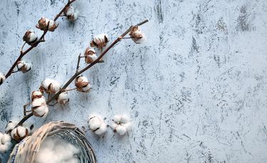 ICE cotton declines ahead of delivery notice, stronger ...