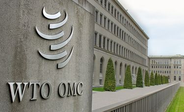 Vietnam updates WTO on adjustments to entities...