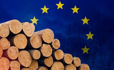 EU leaders agree to delay & simplify...