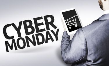 US Cyber Monday online sales reach record $14.25 bn:...