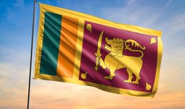Sri Lanka targets lower debt ratio with new budget: Fitch