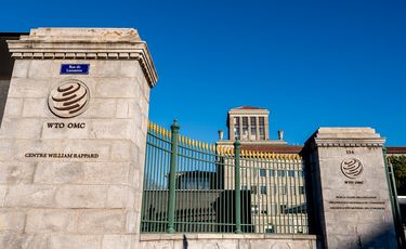 WTO reviews customs value notifications, outlines...