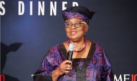 WTO chief urges Nigeria to purposefully court global investors