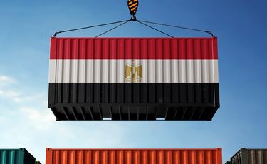 Egypt’s RMG exports up 22% YoY to $2.8 bn in Jan-Oct...