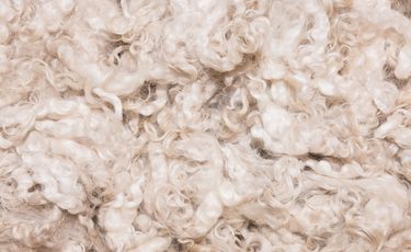 Australian wool prices climb again as exporters drive...