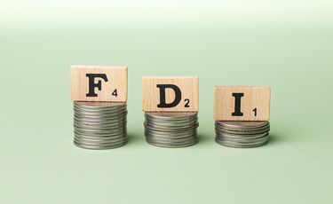 FDI disbursement in Vietnam hits five-year high in Jan ...