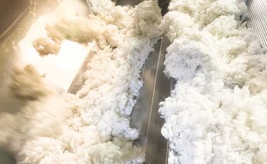 India’s polyester fibre, raw materials see price cuts...