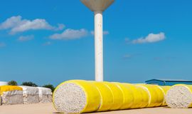 US Upland cotton exports increased but Pima notably down: USDA