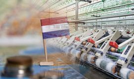 Netherlands manufacturing output prices fall 1.7% in Dec: CBS